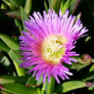 Meet your Posher, Colleen